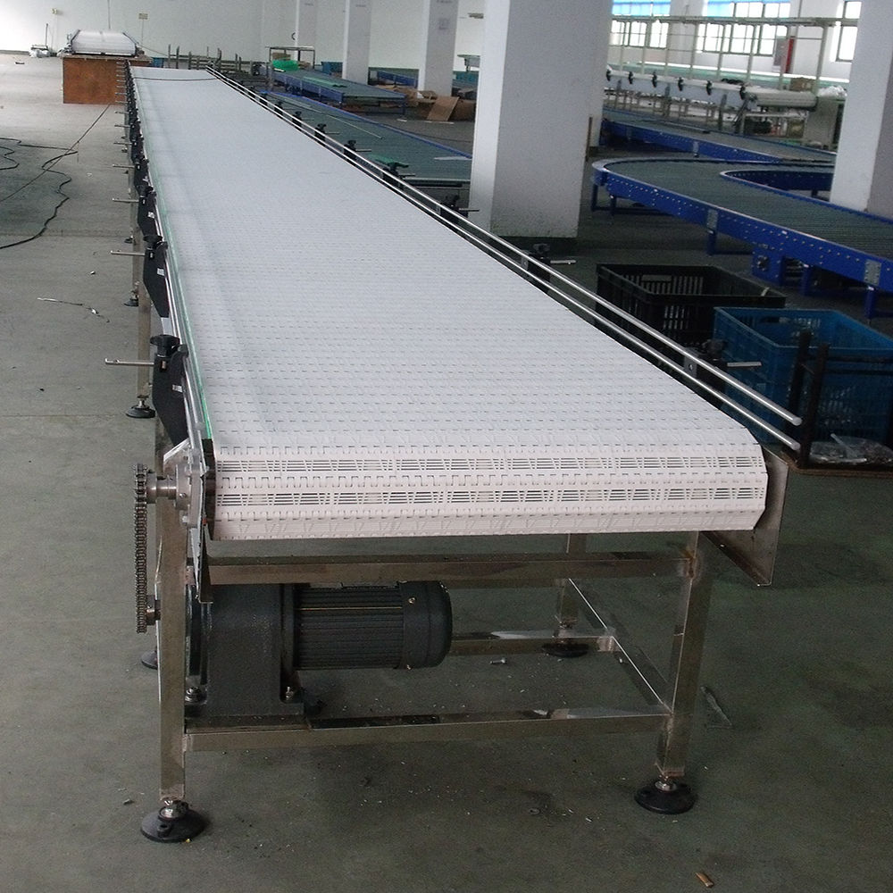 Modular plastic belt conveyor for cauliflower