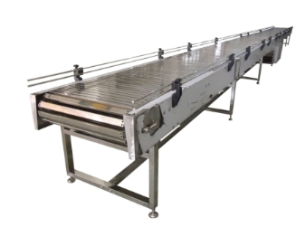Chain Conveyor vs. Roller Conveyor: Which is Better?